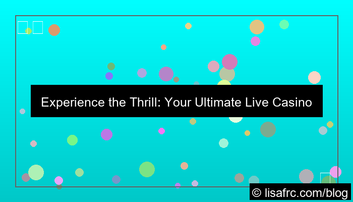 live casino entertainment hub